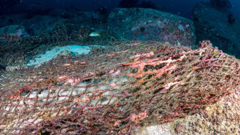 เปลี่ยนขยะทะเล’อวนผี  ‘ให้กลายเป็นเทคโนโลยีแห่งอนาคต